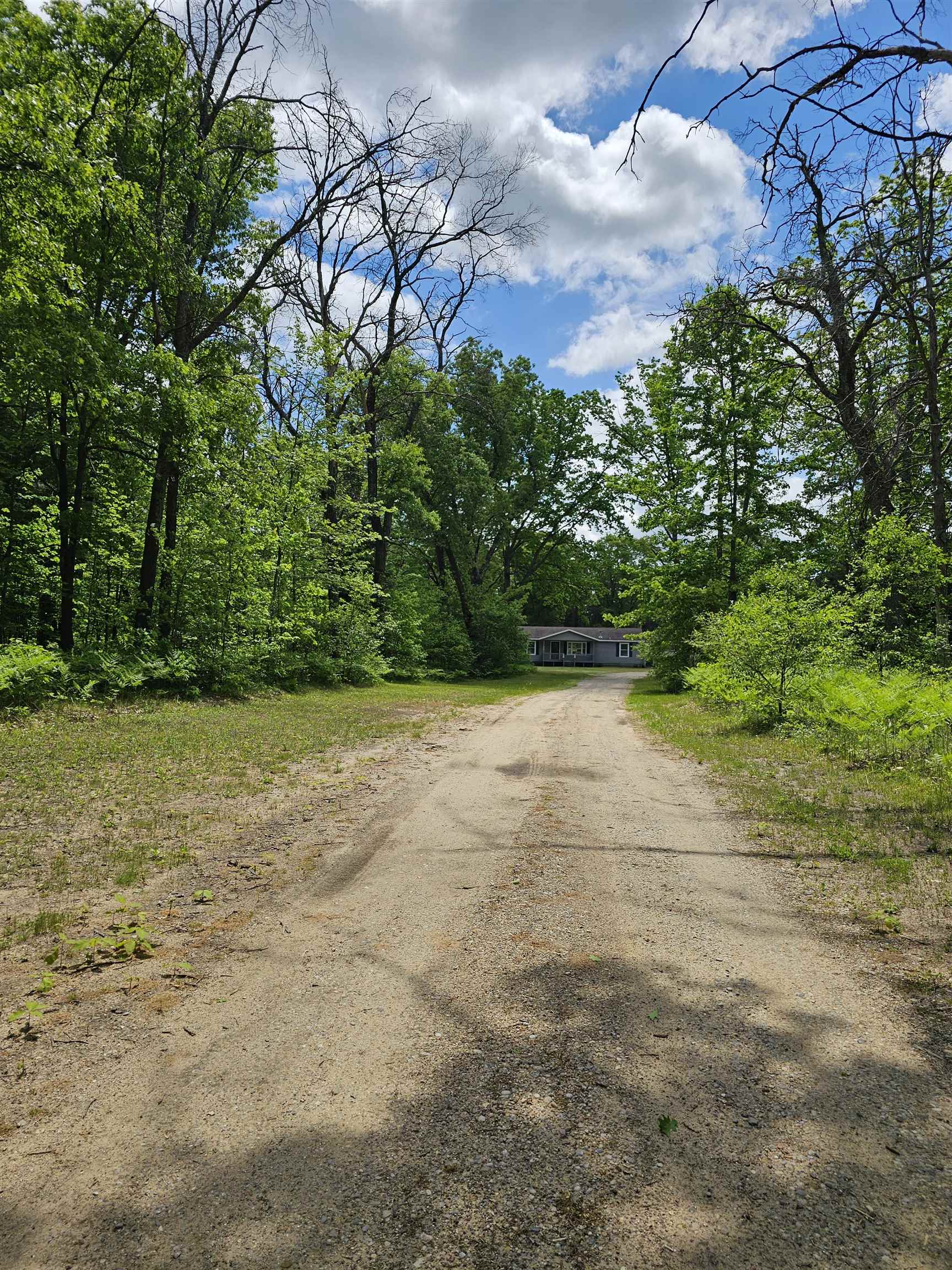 9733 West Jennings Road Lake City, MI 49651 - Photo 35 of 37