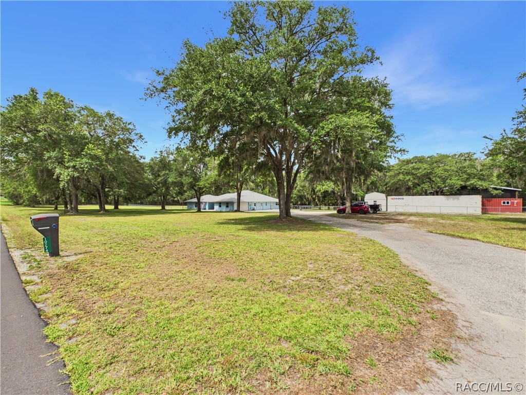 10274 North Rousseau Drive Dunnellon, FL 34433 - Photo 56 of 72