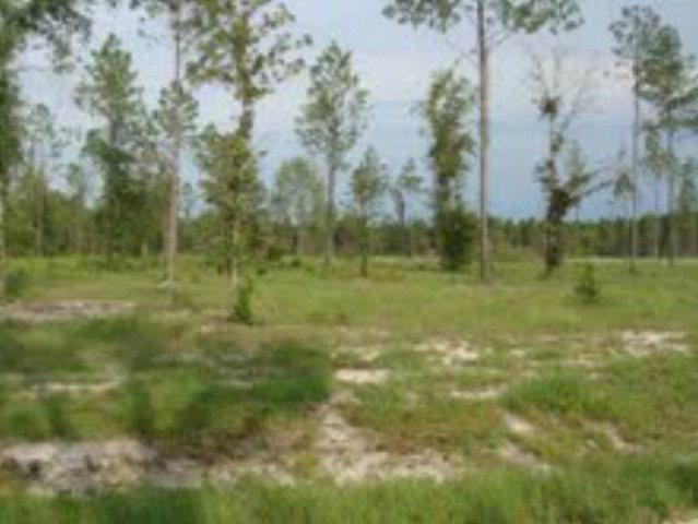 Lot 14 Cameron Road Jesup, GA 31545 - Photo 1 of 1 Gallery Image 1