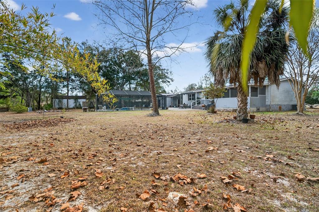 6249 South Esmeralda Terrace Lecanto, FL 34461 - Photo 9 of 61