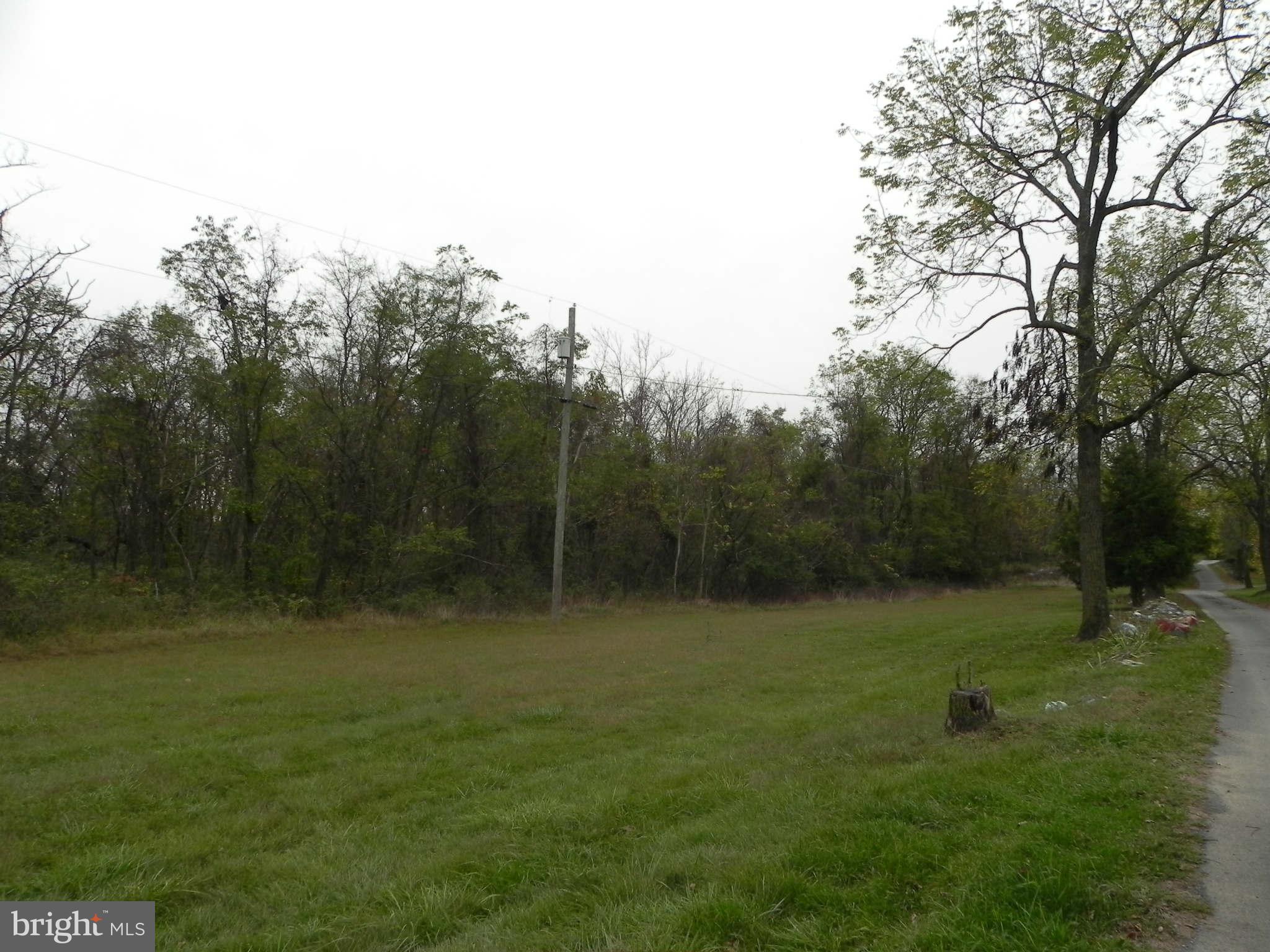 Jamestown Rd Summit Point Summit Point, WV 25446 - Photo 1 of 6 a view of outdoor space with green field and trees