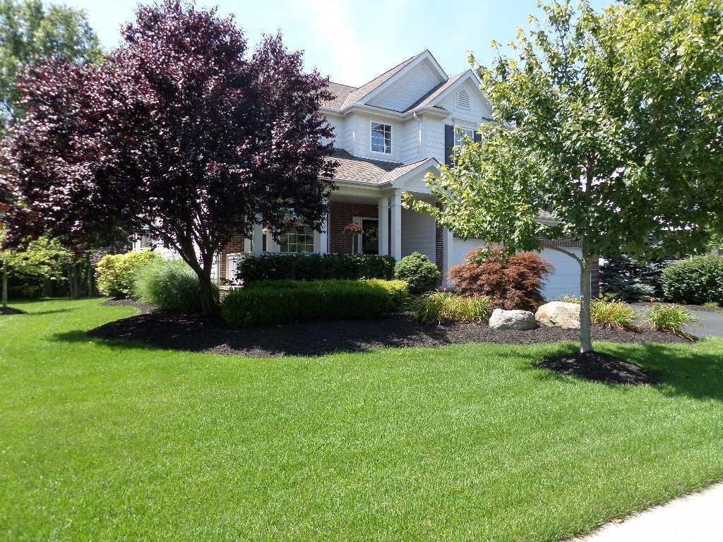 215 Halverston Road Powell, OH 43065 - Photo 1 of 33 Gallery Image 1