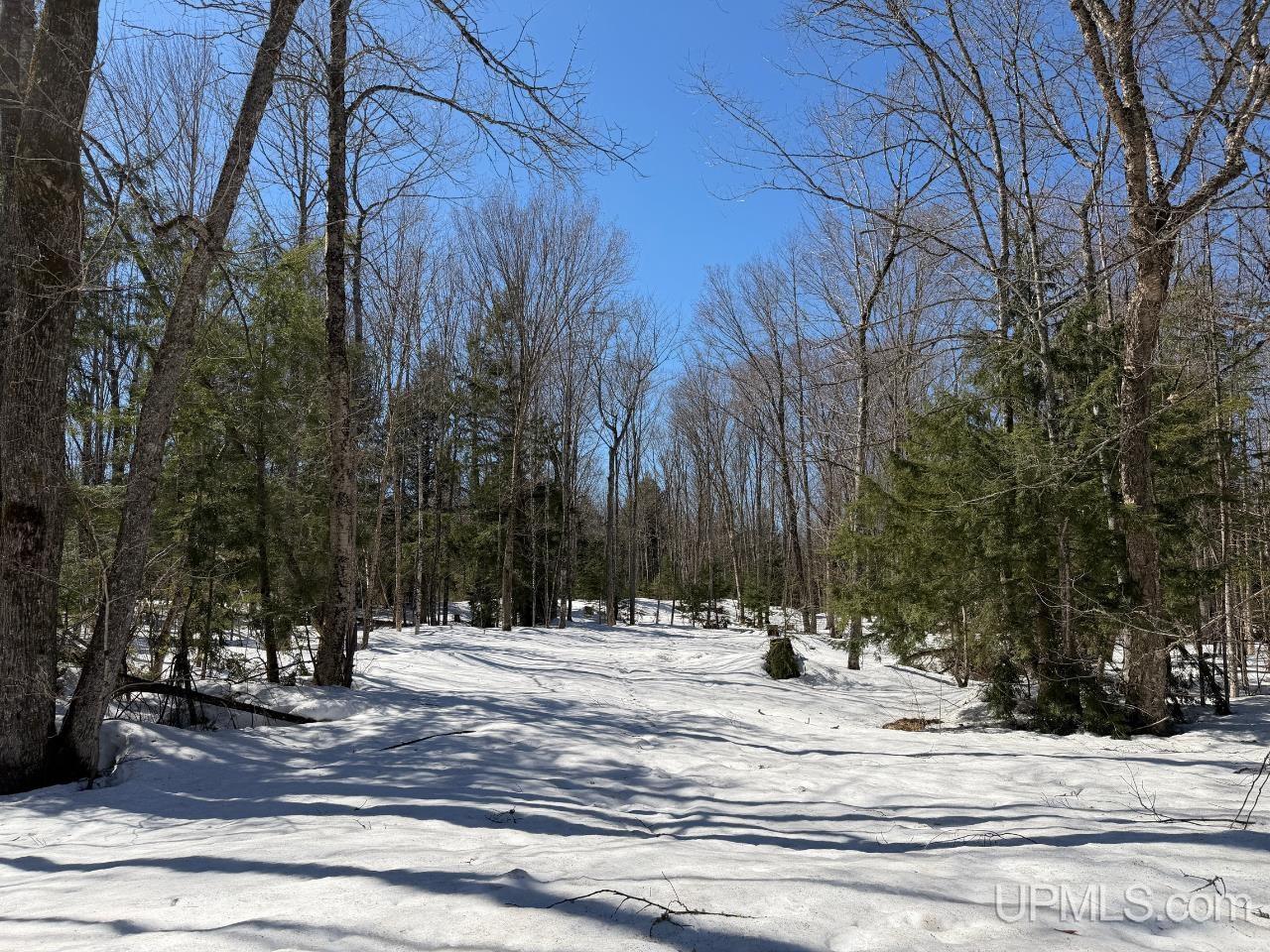 40-acres Dukes Road Skandia, MI 49885 - Photo 23 of 24