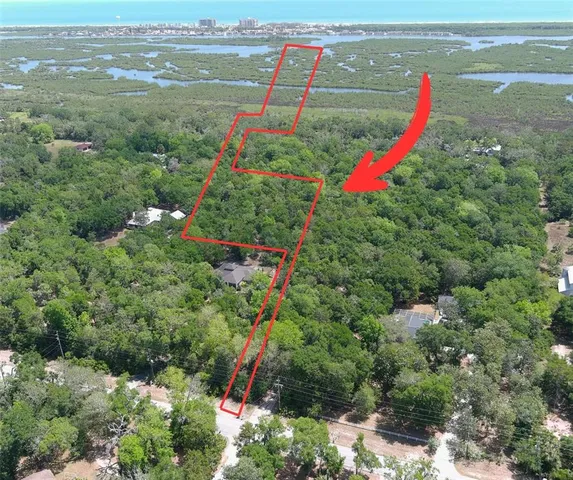 a view of a field with large tree