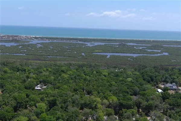 a view of a forest with a small yard