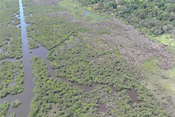 a view of a field of grass and trees