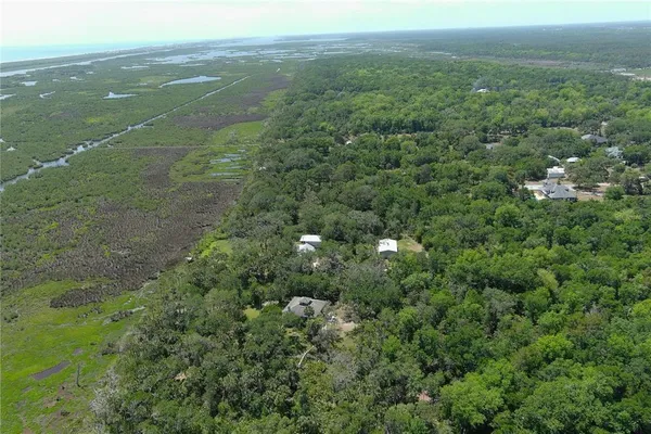 view of a city with lush green forest
