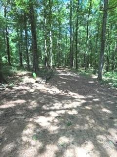 943 Boss Hardy Road Winder, GA 30680 - Photo 4 of 30