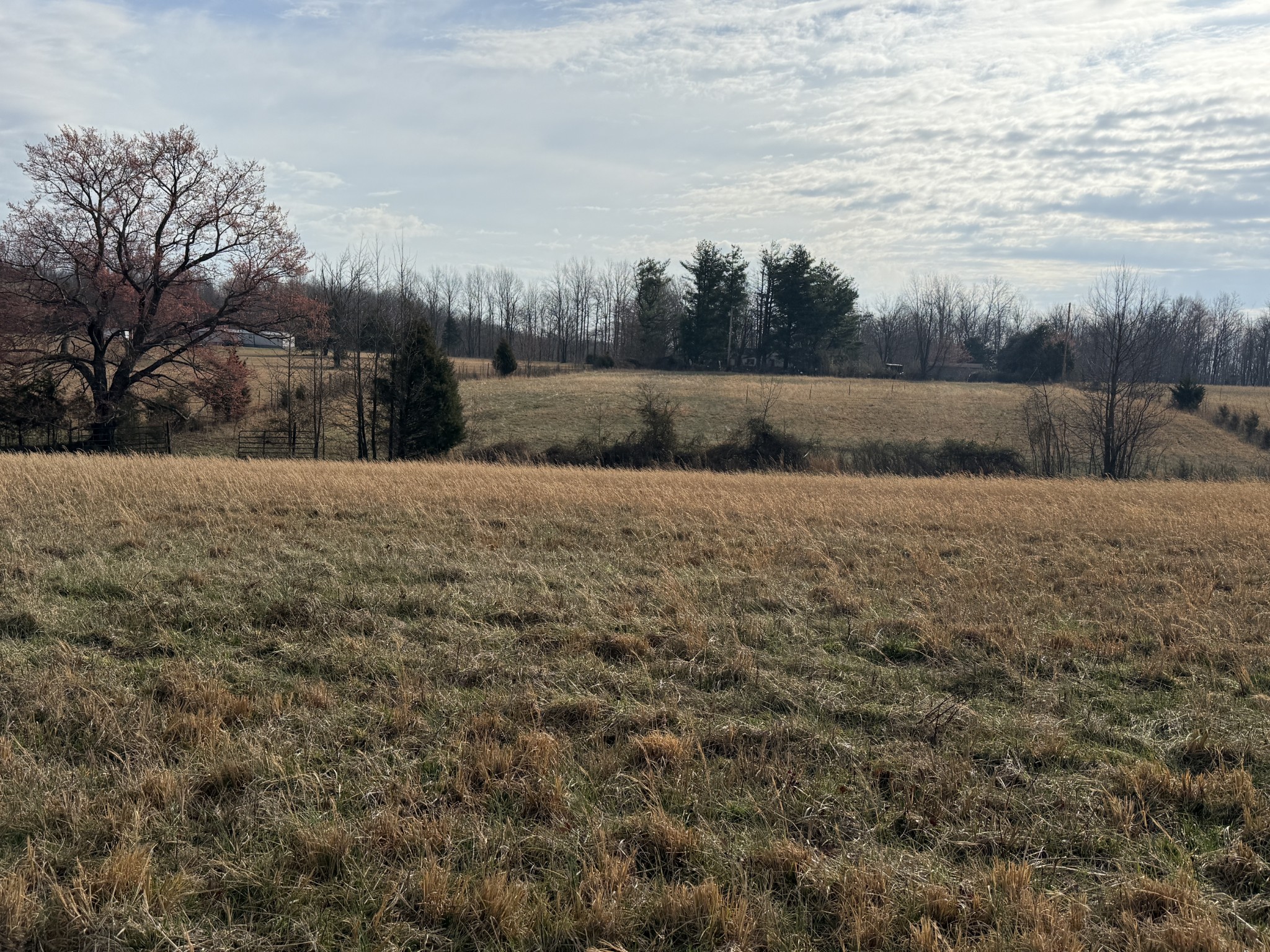 795 Mt Vernon Road Bethpage, TN 37022 - Photo 2 of 5