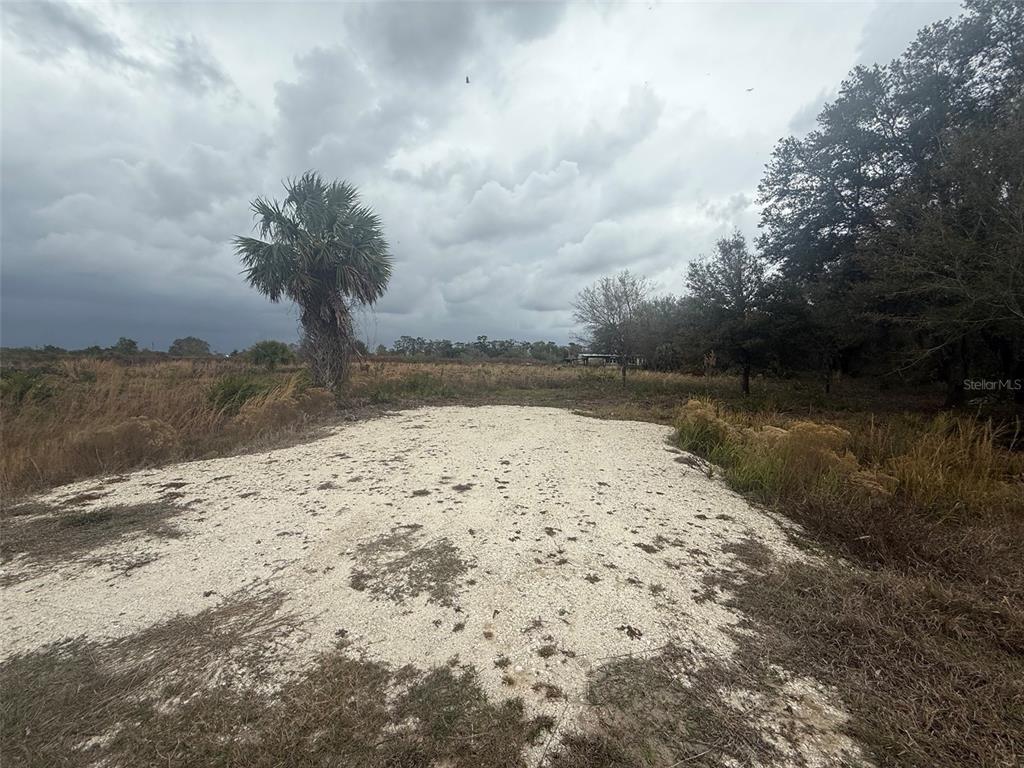 a view of ocean view with large trees