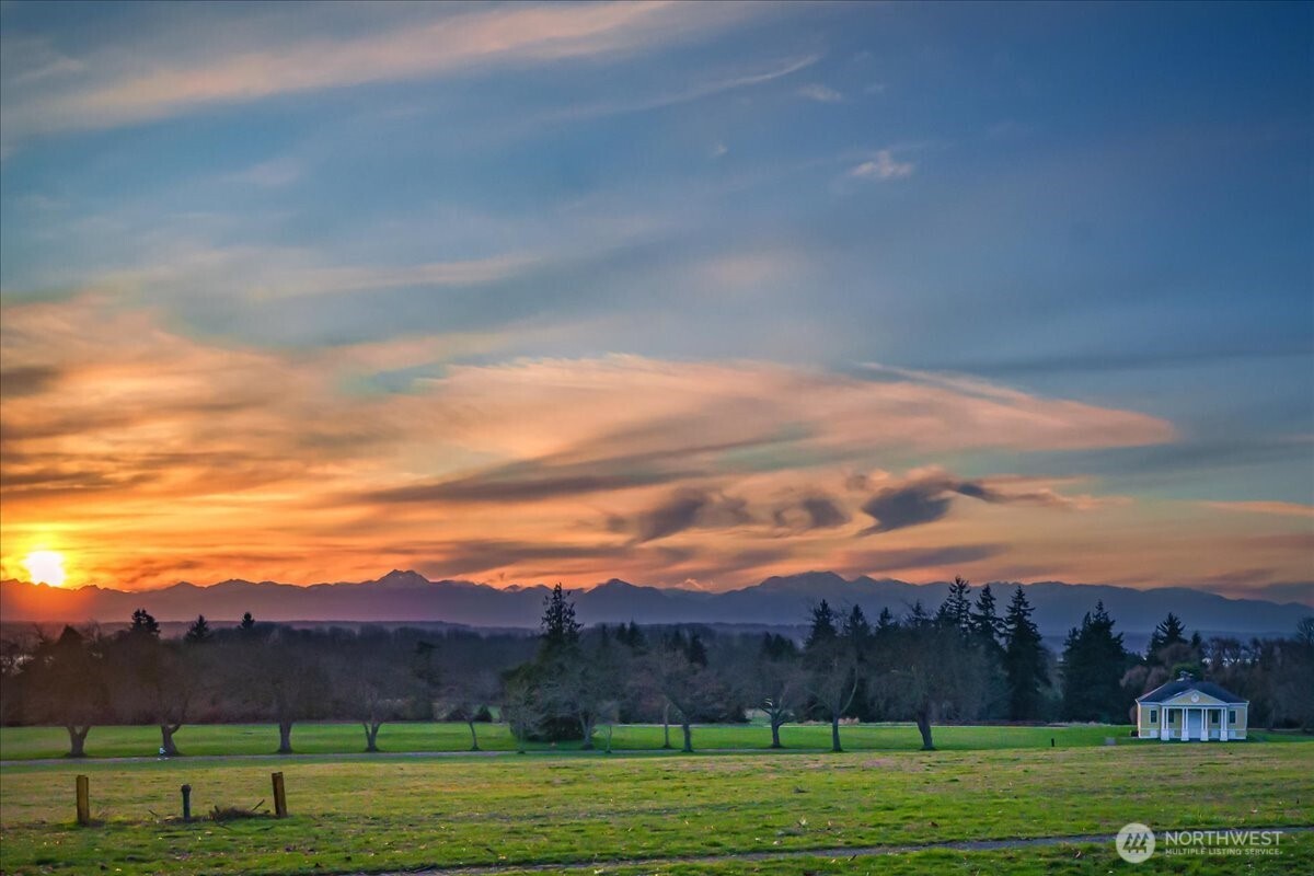 4200 Washington Avenue Seattle, WA 98199 - Photo 38 of 40 a view of a grassy field with trees