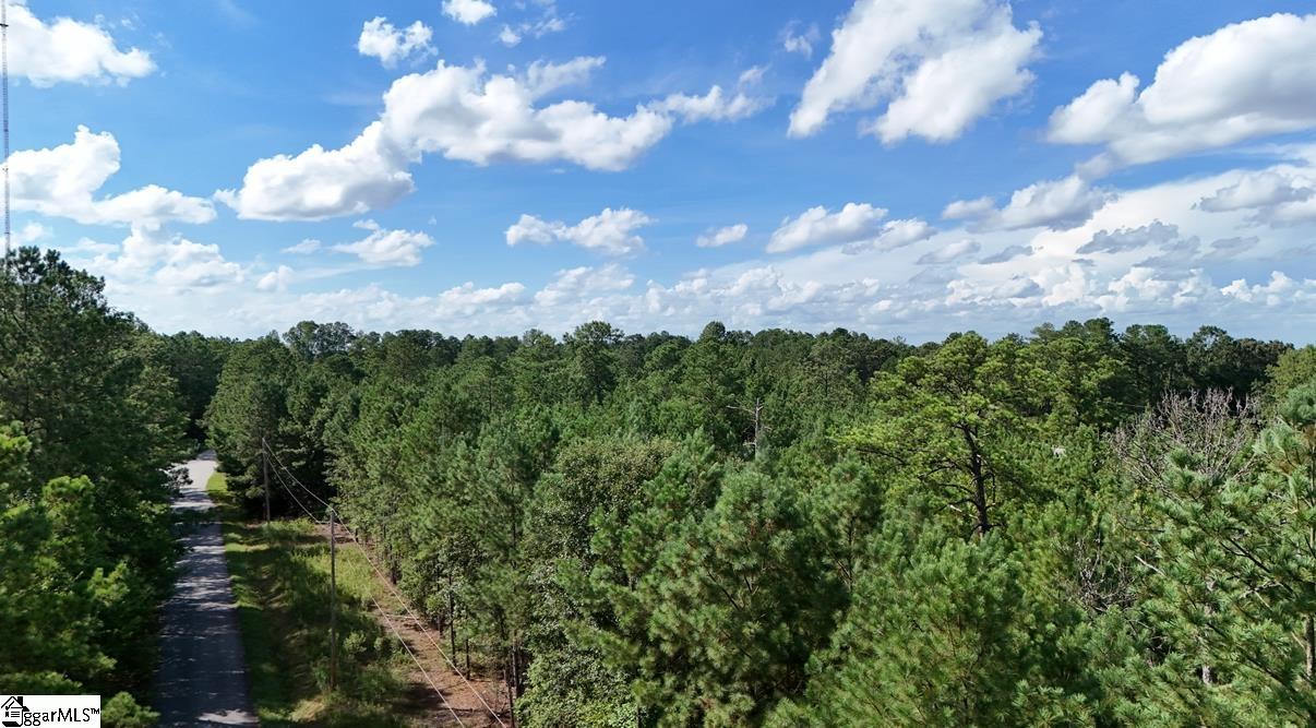 A Neighbors Road, Unit AND DOUBLE A TRAIL Clinton, SC 29325 - Photo 5 of 6