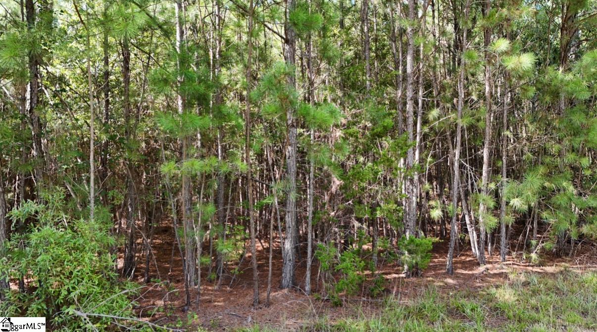 A Neighbors Road, Unit AND DOUBLE A TRAIL Clinton, SC 29325 - Photo 6 of 6