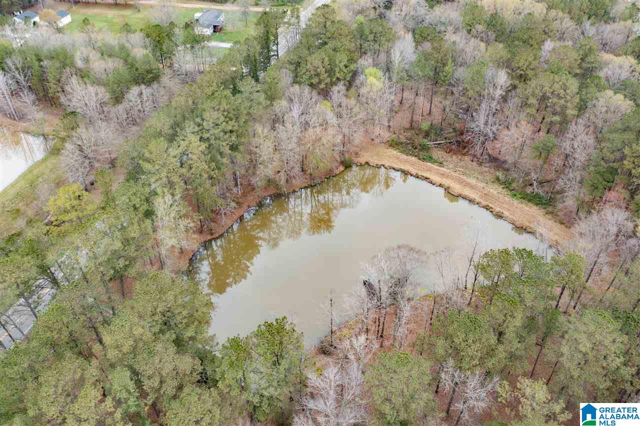 6150 Chelsea Road Columbiana, AL 35051 - Photo 50 of 50
