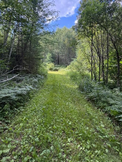 Tbd North Moose Lake Road Northeast Pennington, MN 56663 - Photo 1 of 26