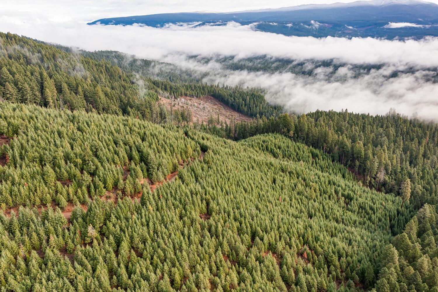 River Road Trail, OR 97541 - Photo 2 of 20 DJI_0899HDR27