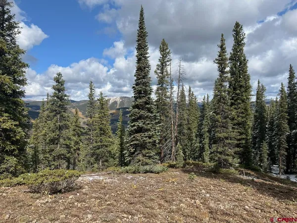 $50,000 | 400 Forest Service Road, Almont, CO 81210