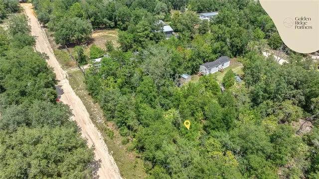 a view of a yard with plants