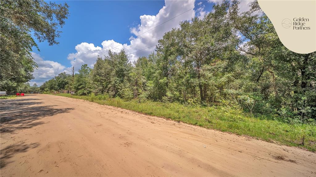 Dunham Avenue Interlachen, FL 32148 - Photo 14 of 28