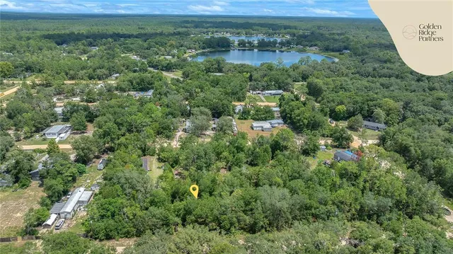 a view of a forest with a houses