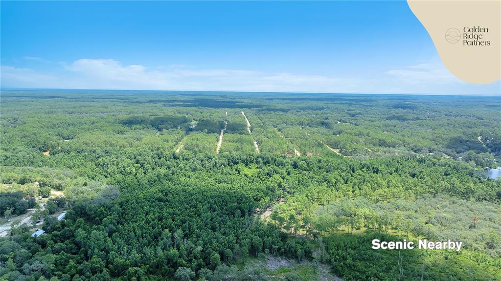 Dunham Avenue Interlachen, FL 32148 - Photo 26 of 28 a view of a green field