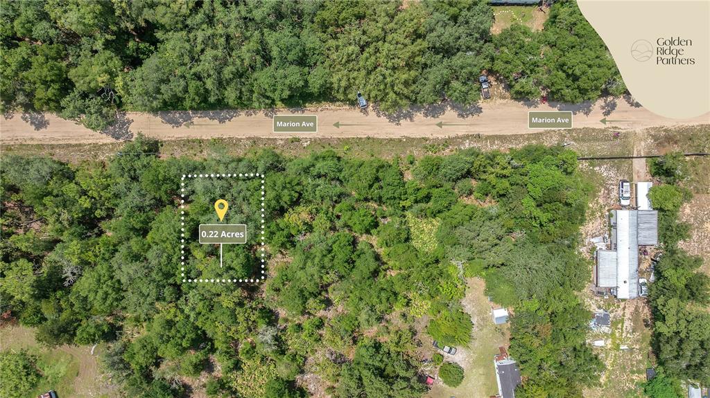 Dunham Avenue Interlachen, FL 32148 - Photo 3 of 28 a view of yard with green space