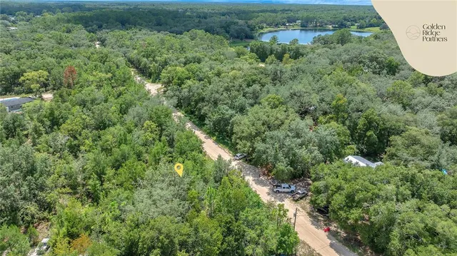 an aerial view of residential houses with outdoor space and trees