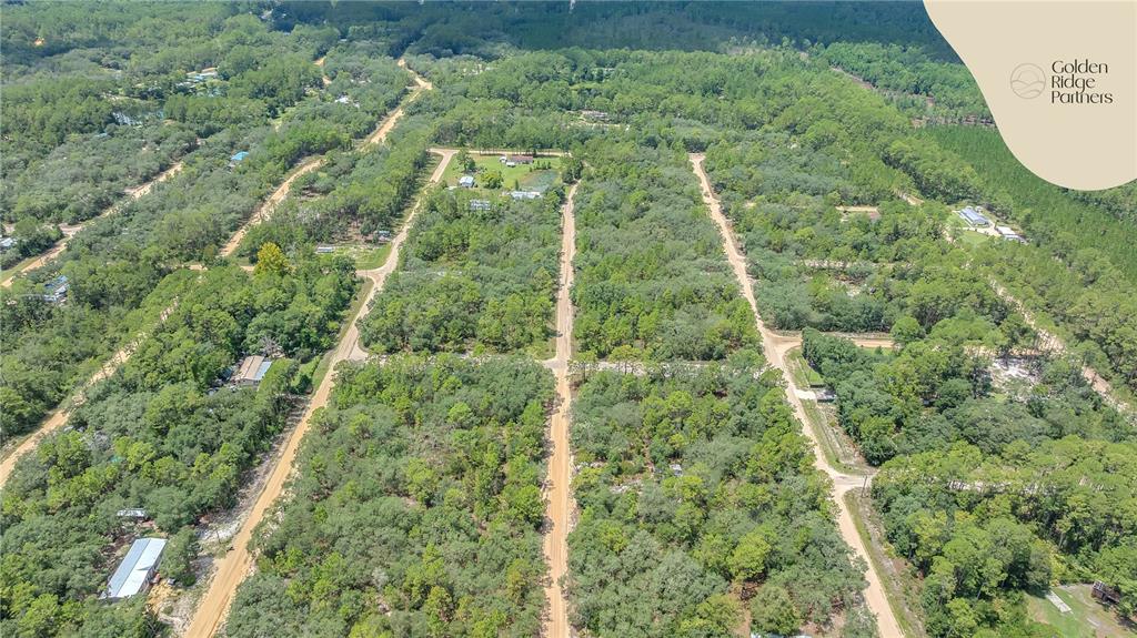 Dunham Avenue Interlachen, FL 32148 - Photo 5 of 28 a view of a forest