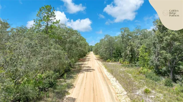 a view of a swimming pool with a yard