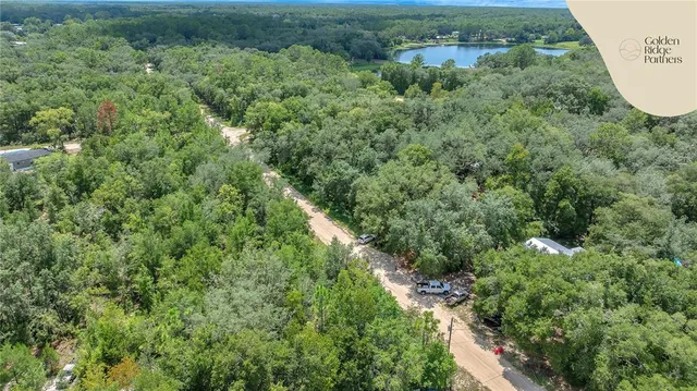 an aerial view of residential houses with outdoor space and trees