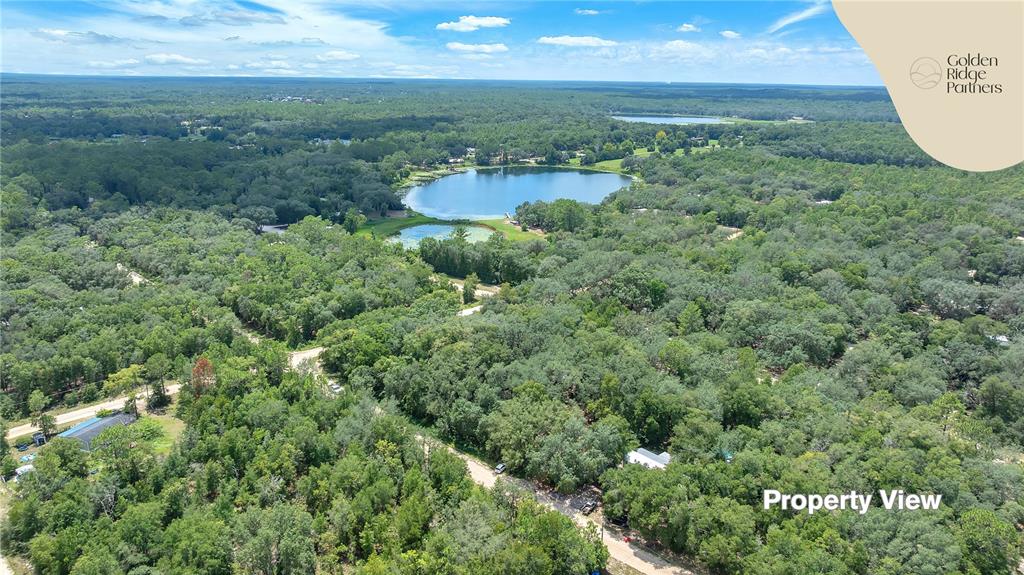 Dunham Avenue Interlachen, FL 32148 - Photo 9 of 28 an aerial view of residential houses with outdoor space and trees