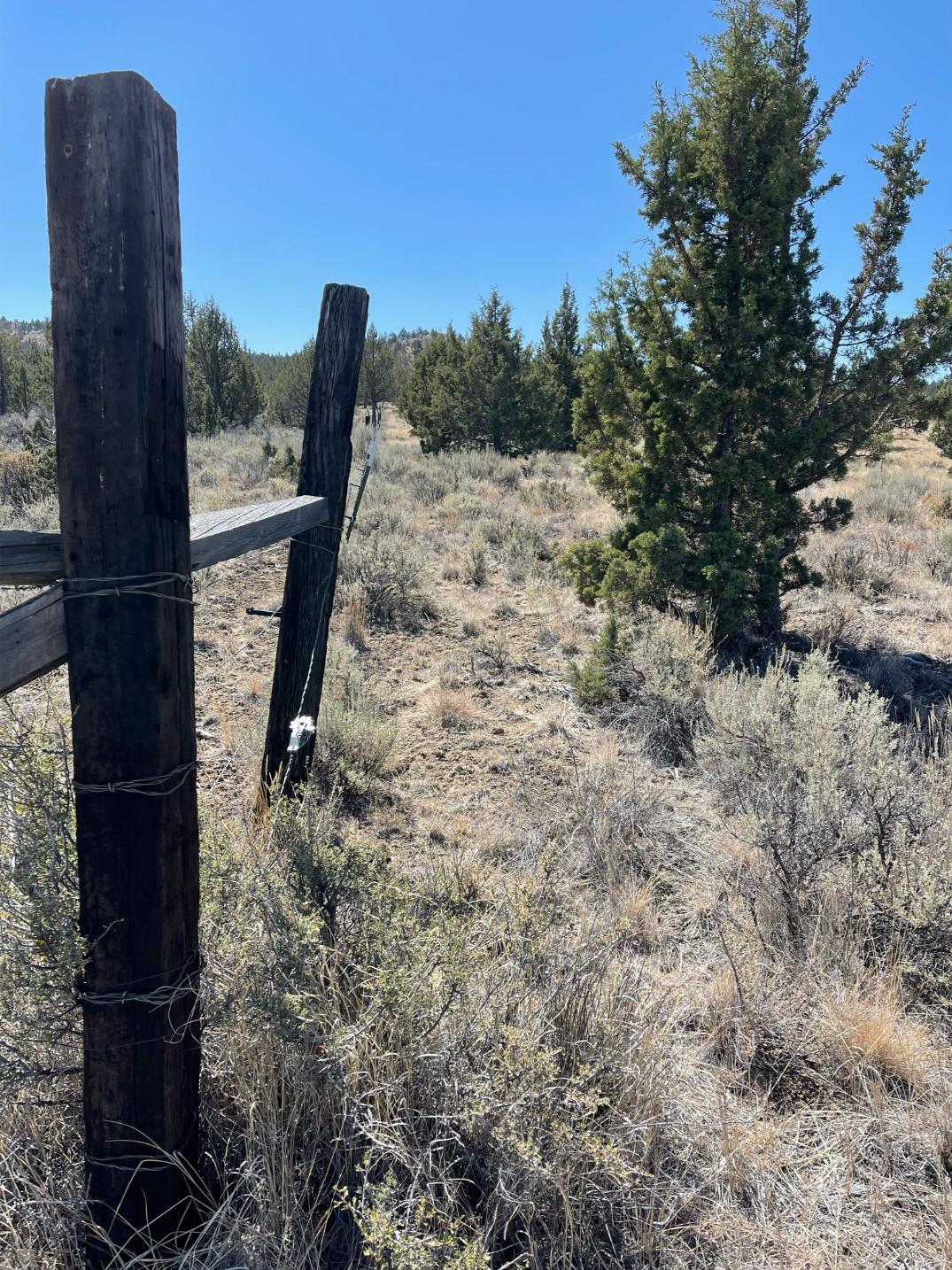 19208 Southeast Upper Ridge Road Prineville, OR 97754 - Photo 10 of 22 10