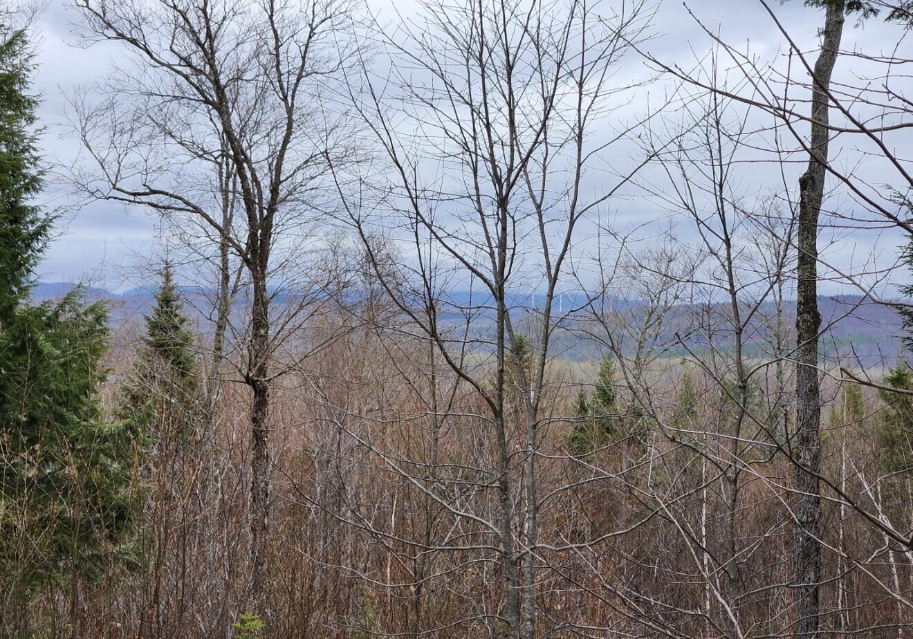 0 North Stewart Road Northeast Moscow, ME 04920 - Photo 68 of 68 8a