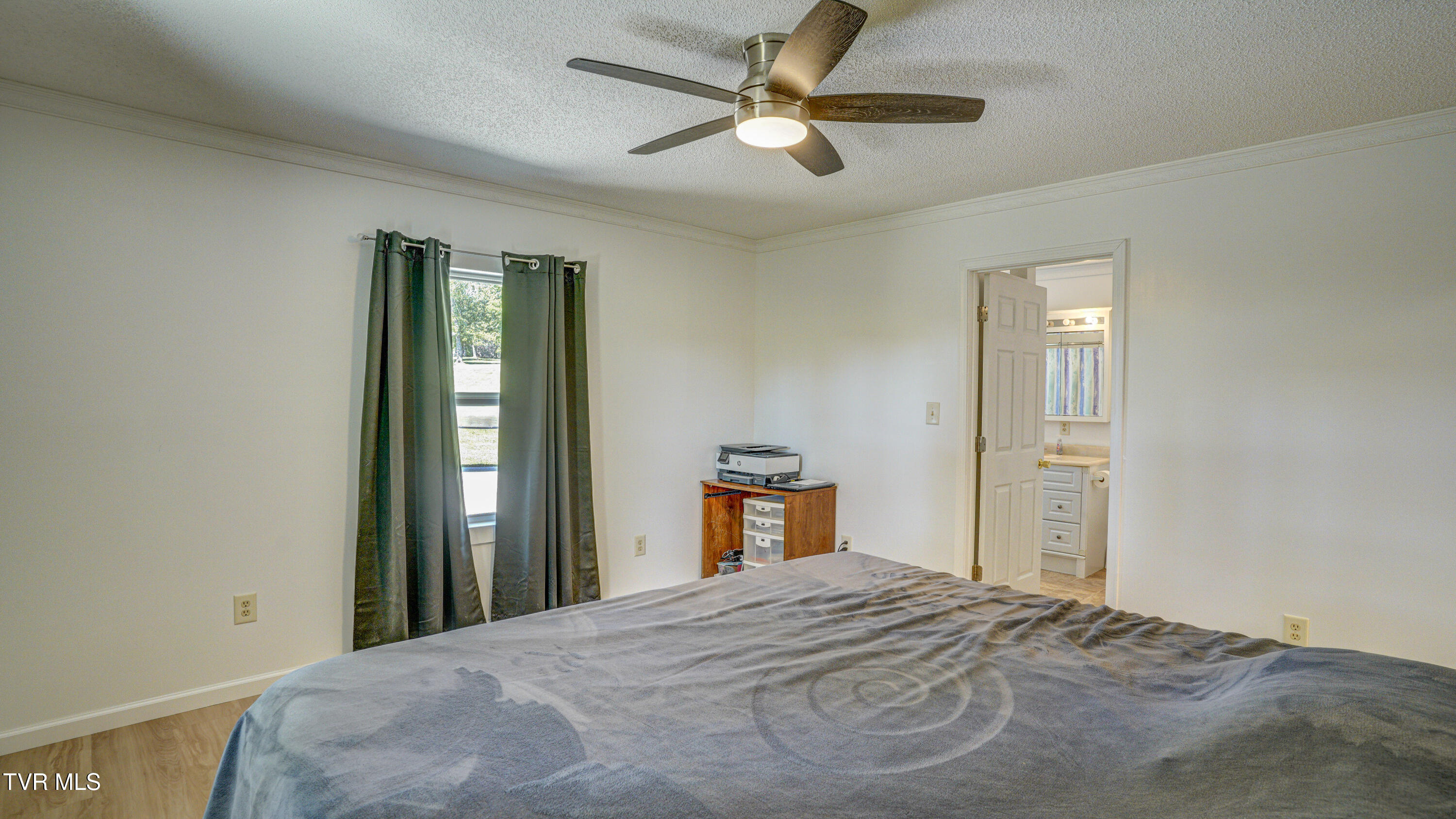 411 Culver Road Limestone, TN 37681 - Photo 28 of 58 Primary Bedroom