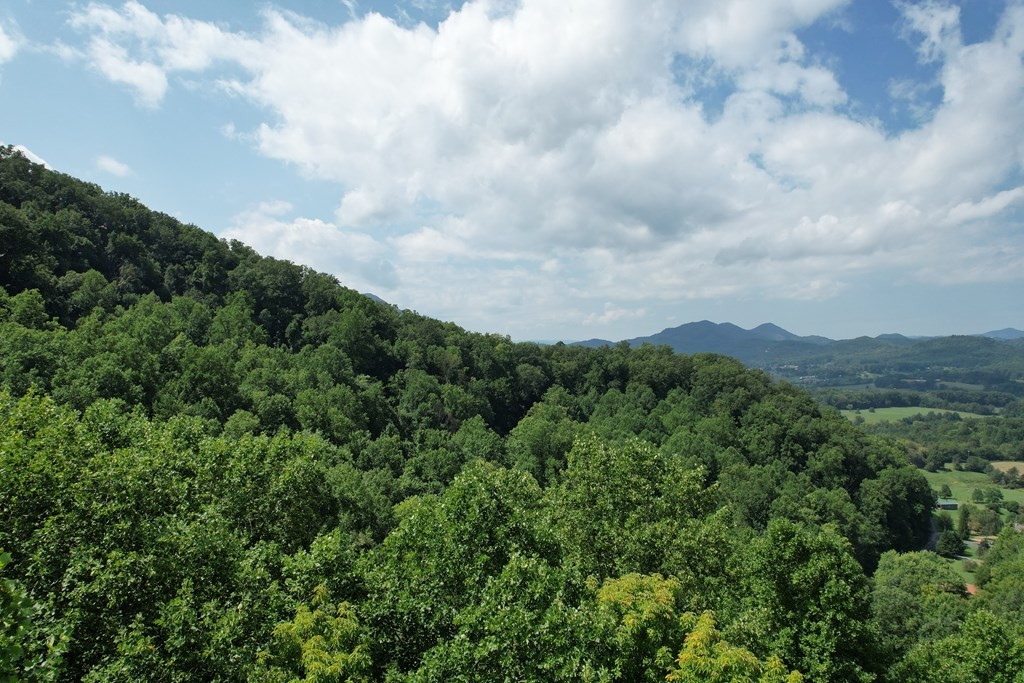 21 Kulpan Way Sevierville, TN 37862 - Photo 3 of 25