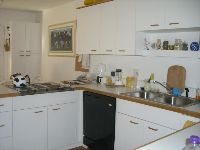 1136-71 Barker Road, Unit 71 Pittsfield, MA 01201 - Photo 11 of 28 71 south pond 013