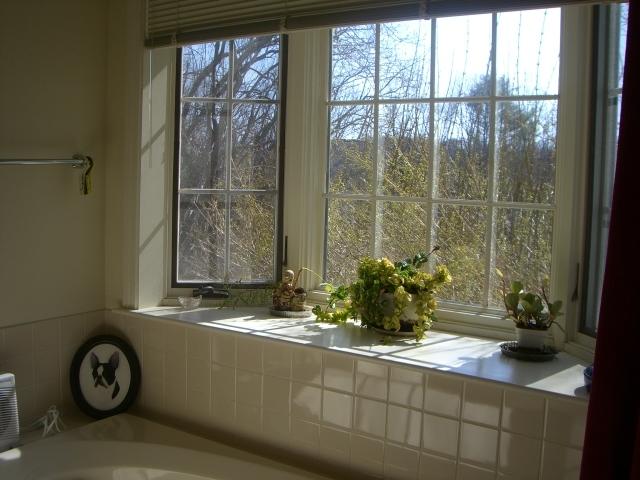 1136-71 Barker Road, Unit 71 Pittsfield, MA 01201 - Photo 3 of 28 71 south pond 003