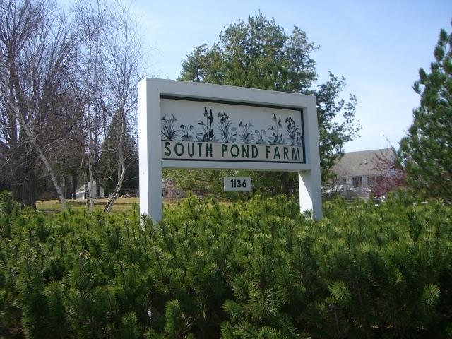 1136-71 Barker Road, Unit 71 Pittsfield, MA 01201 - Photo 23 of 28 71 south pond 026