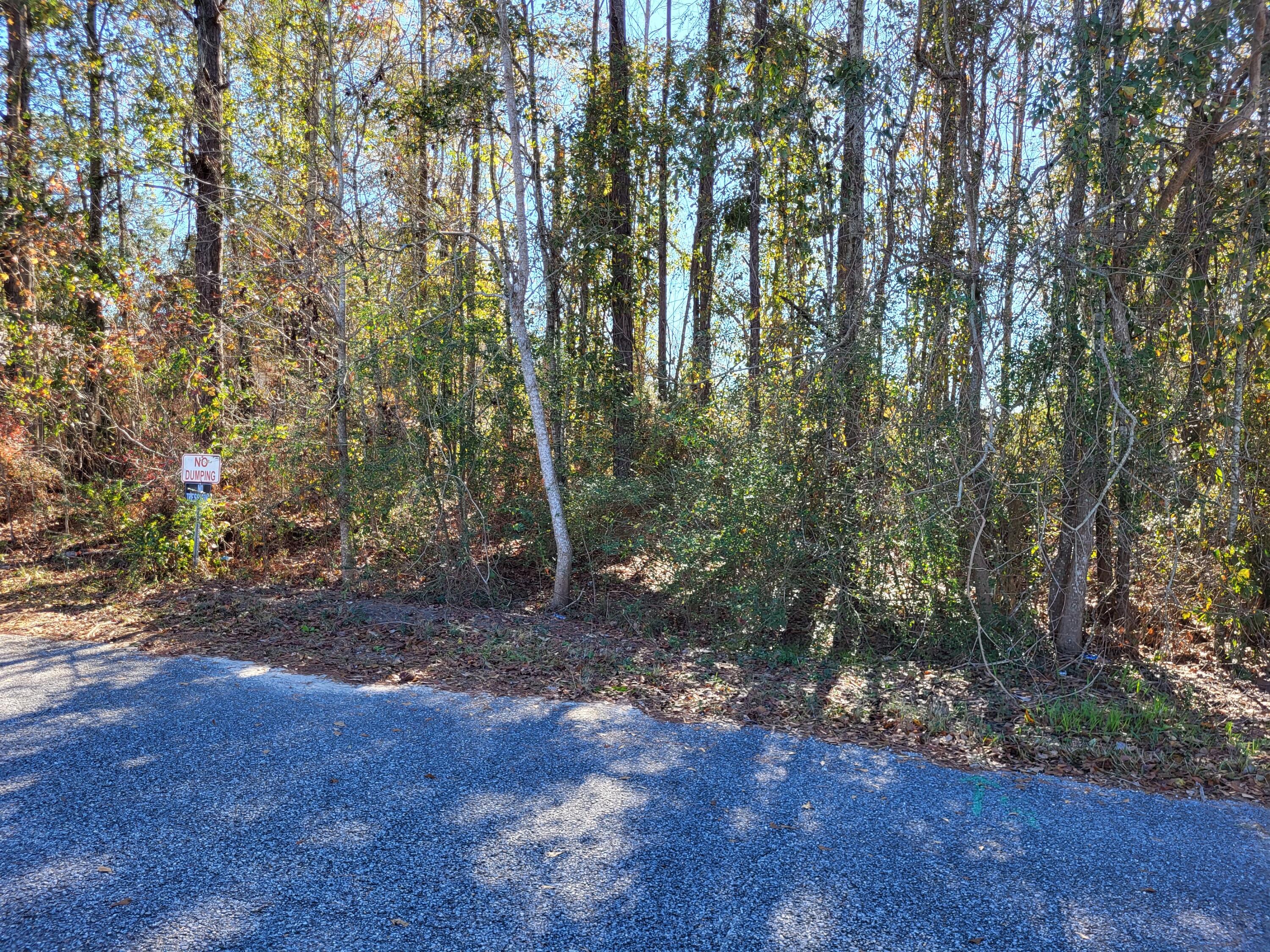 3313 Meghans Way Pace, FL 32571 - Photo 3 of 7 a view of outdoor space and trees