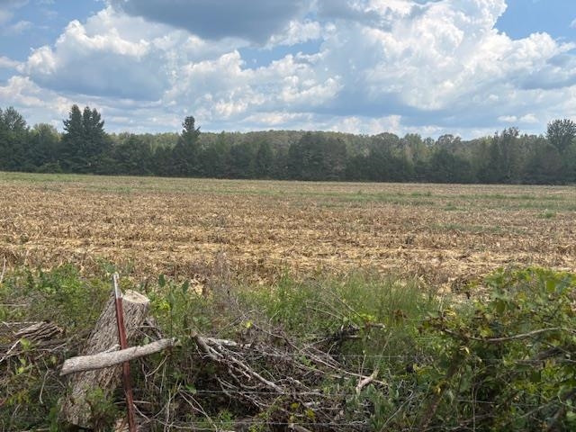 0 Peavine Road Middleton, TN 38052 - Photo 6 of 8 a view of lake and mountain