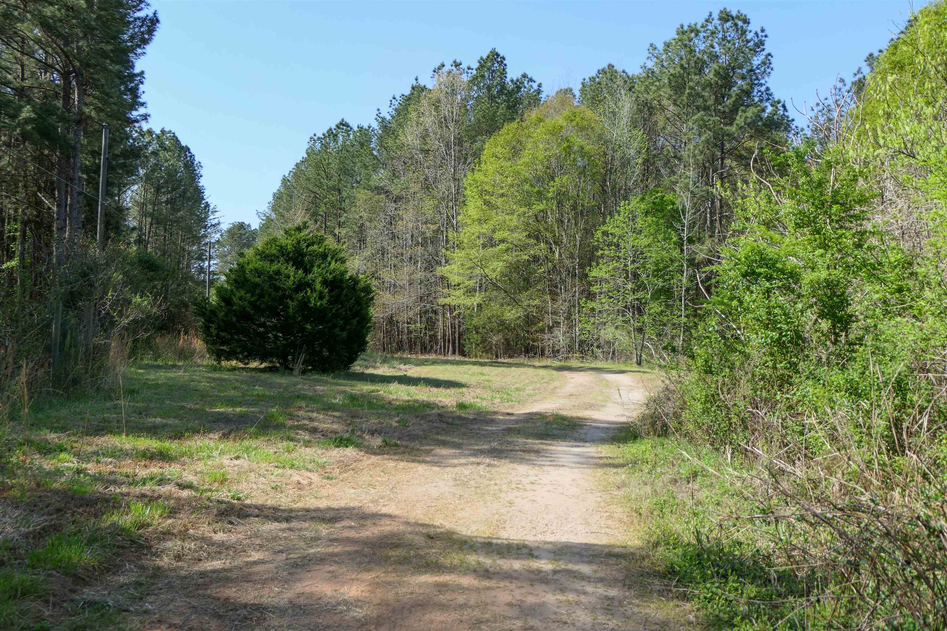 730 Browning Road Enoree, SC 29335 - Photo 3 of 25