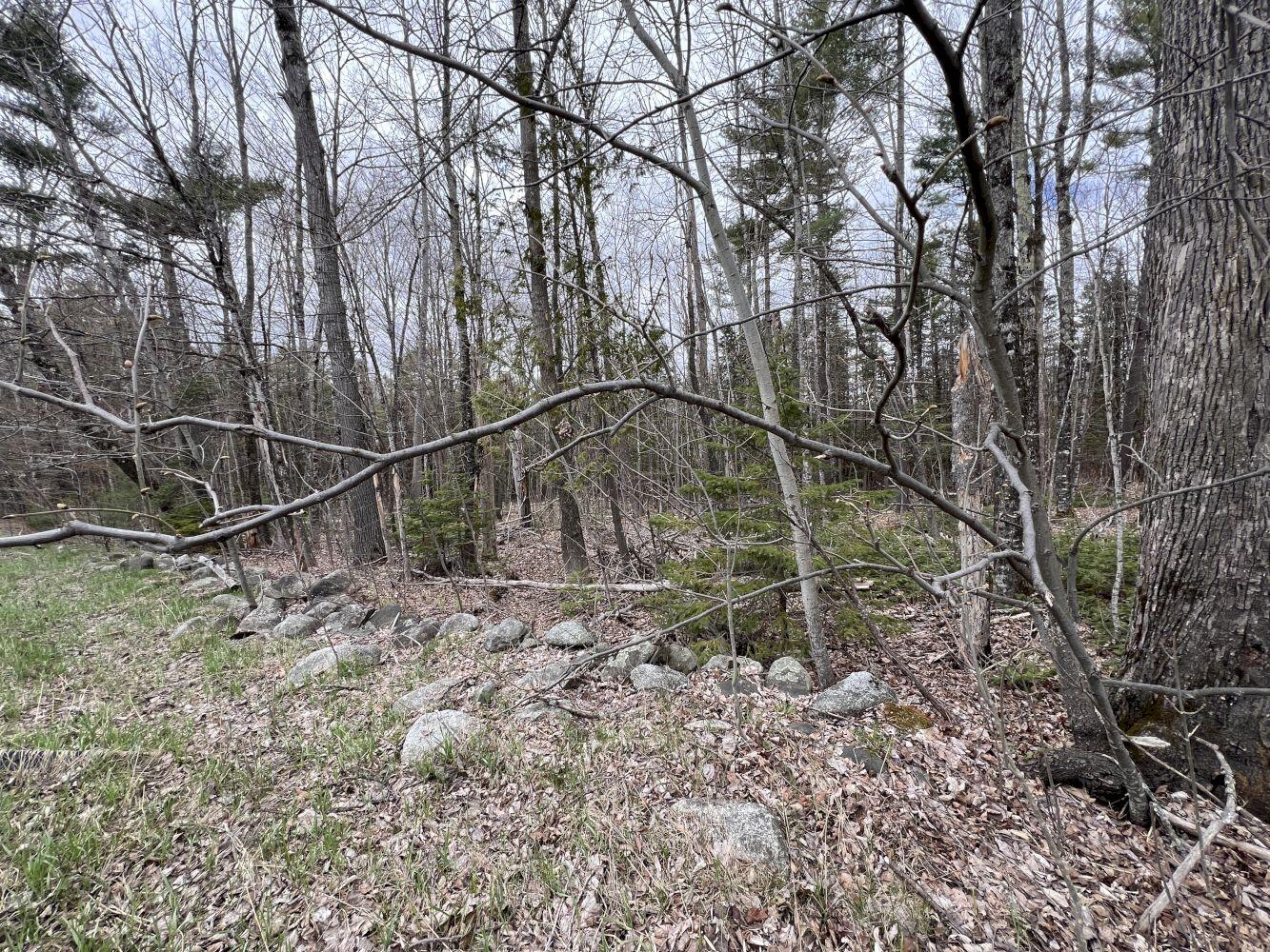 M17-l75 Canaan Road Pittsfield, ME 04967 - Photo 3 of 8 2