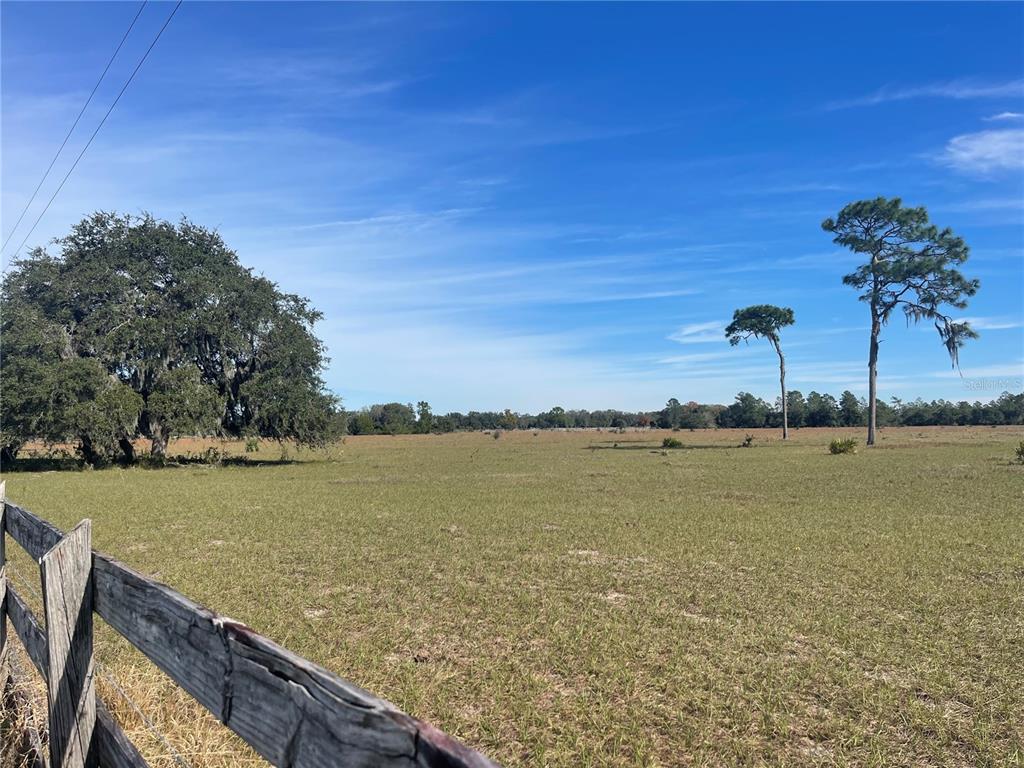 Fair Street Astatula, FL 34705 - Photo 2 of 3