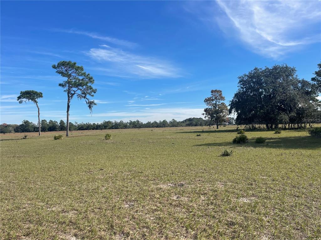 Fair Street Astatula, FL 34705 - Photo 3 of 3