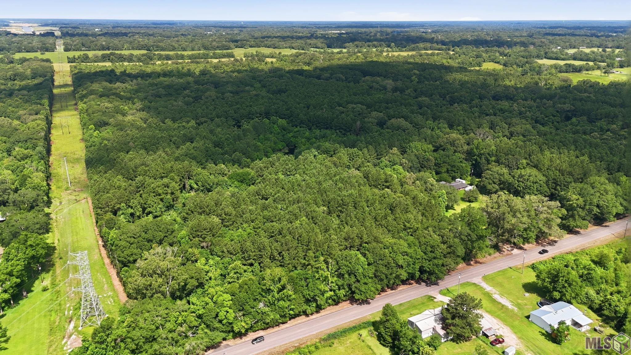 Tbd Blackwater Road Zachary, LA 70791 - Photo 4 of 8