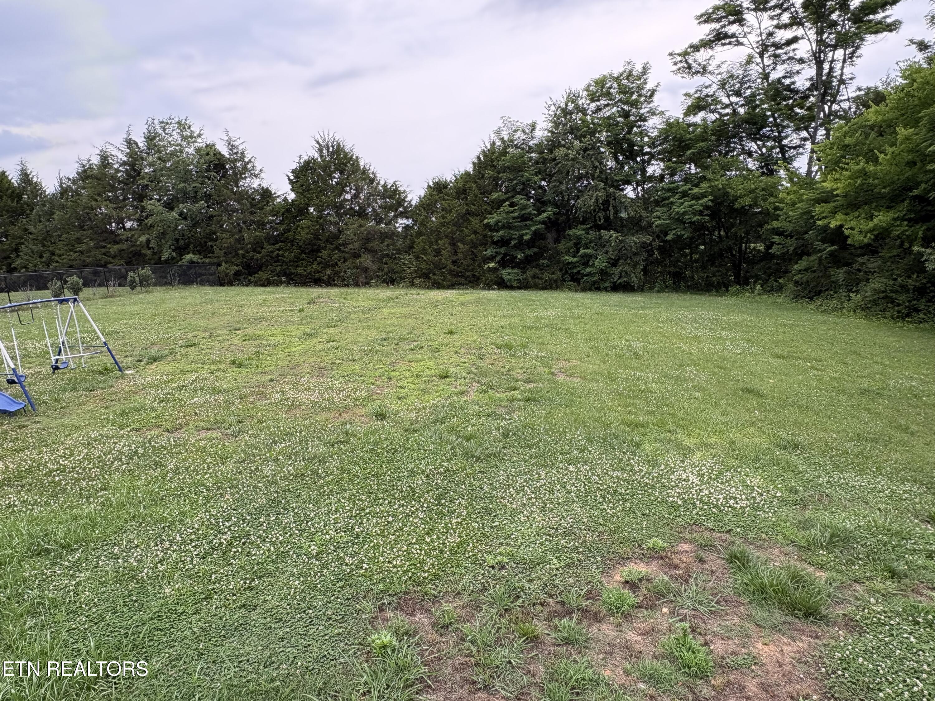 327 Thomas Loop Road Sevierville, TN 37876 - Photo 16 of 18 Back Yard