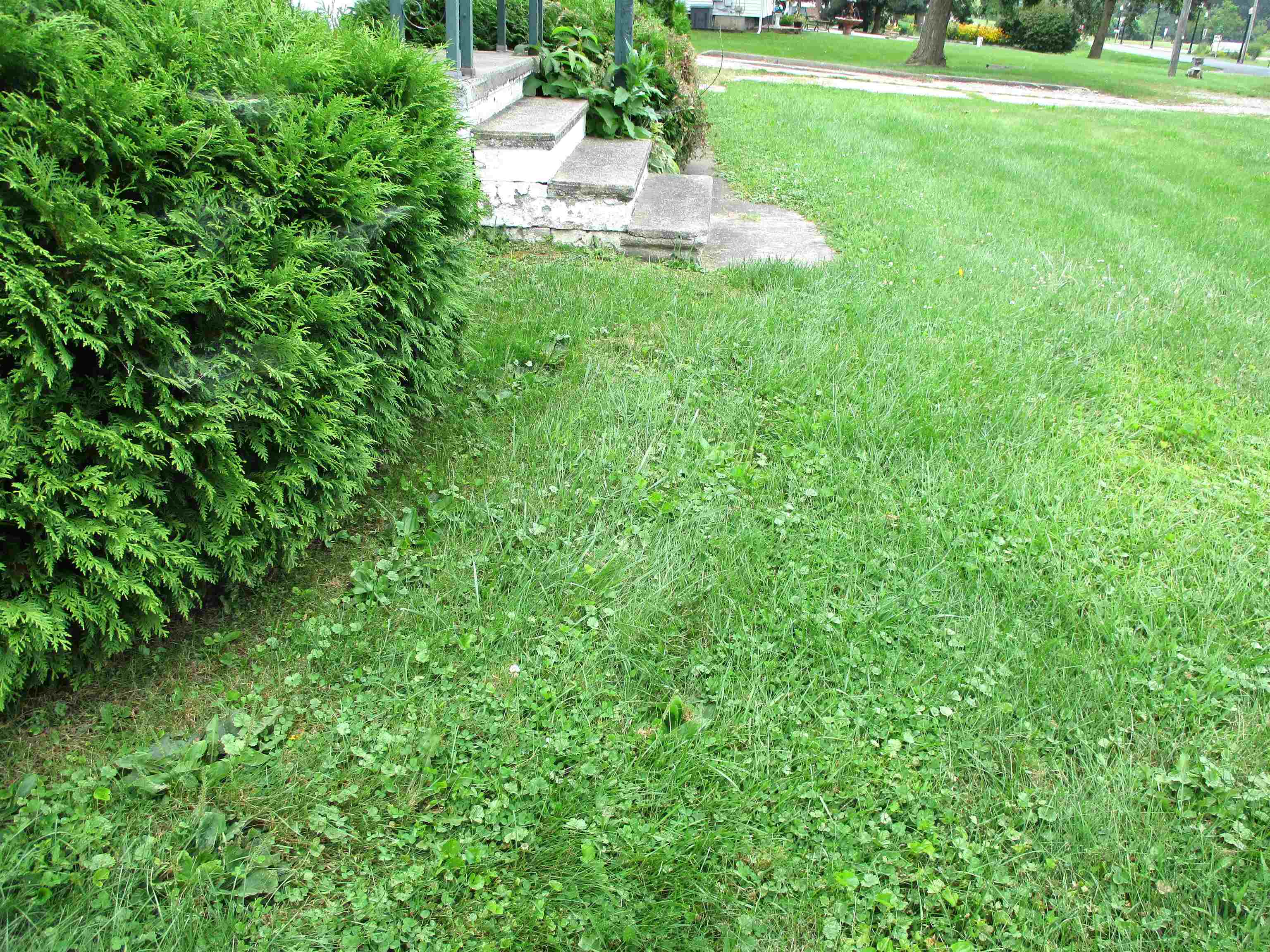 8554 Monroe Road Durand, MI 48429 - Photo 32 of 36 50152388-1bd6671e-3a3f-48d4-93d4-efb4bc2001c8.JPG