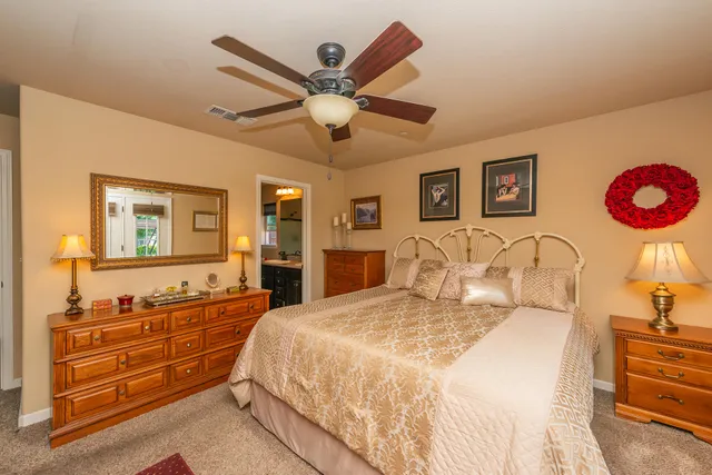 a view of a garden with a house in the background