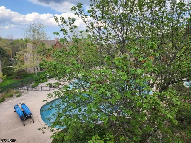 a view of a tree in a backyard of a house