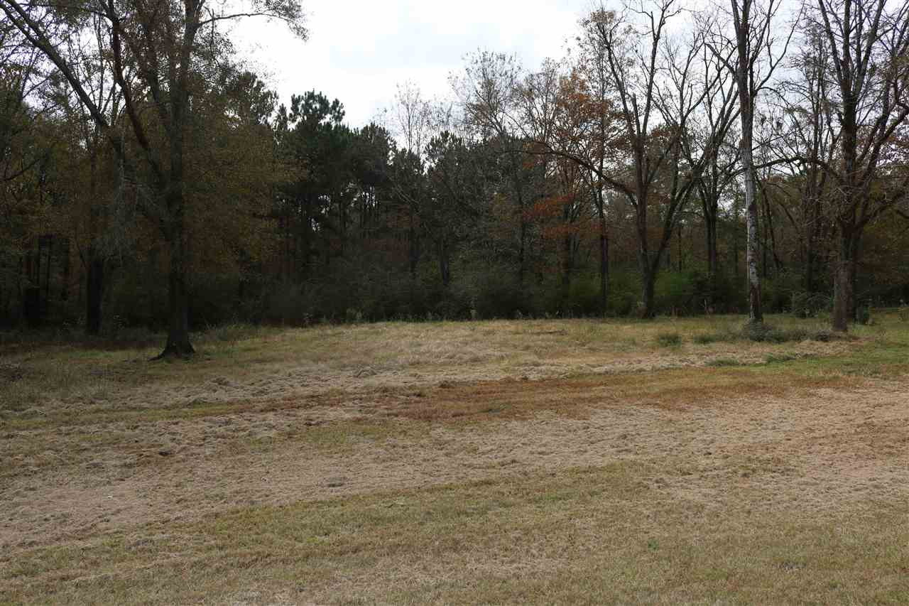 1337 Big Creek Road Raymond, MS 39154 - Photo 8 of 19 Photo 8